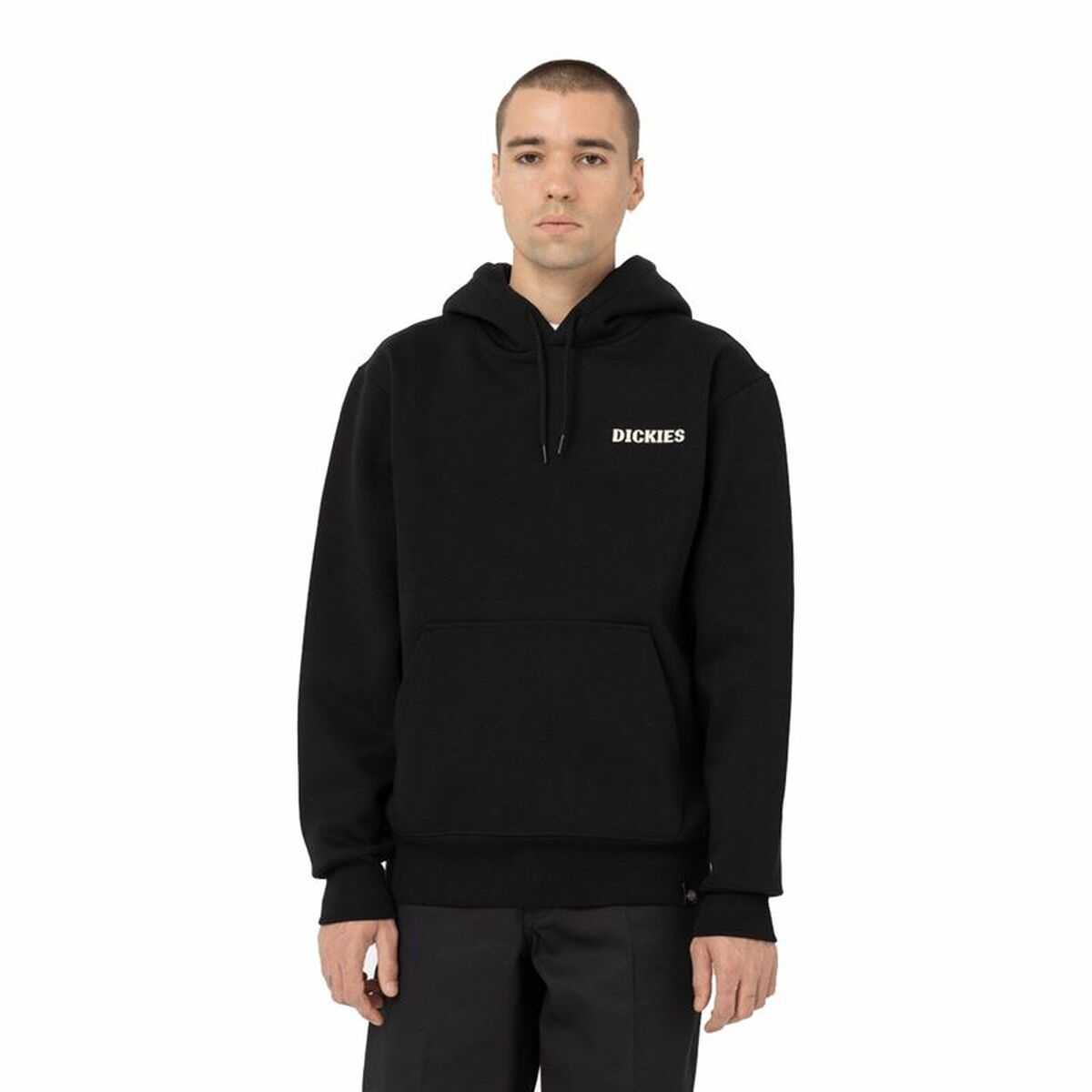 Men’s Hoodie Dickies Hays Black/L