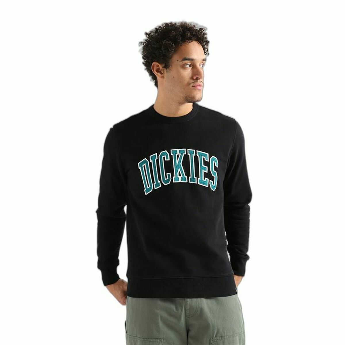 Hoodie Dickies Aitkin Black/L