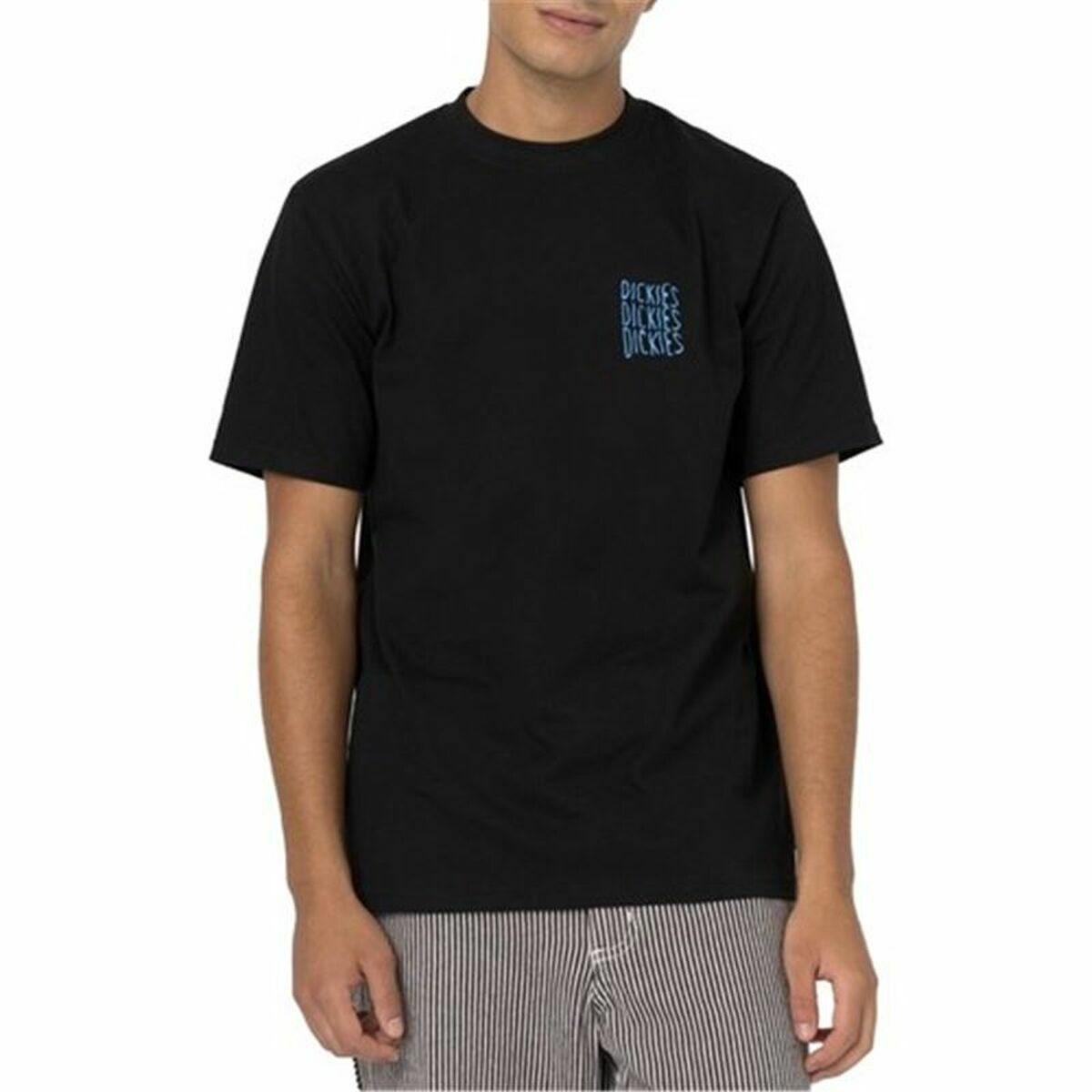 Short Sleeve T-Shirt Dickies Creswell Black Men/S