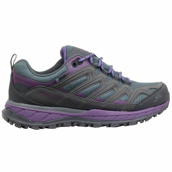 Sports Trainers for Women Hi-Tec Lander Low Purple Dark grey/37