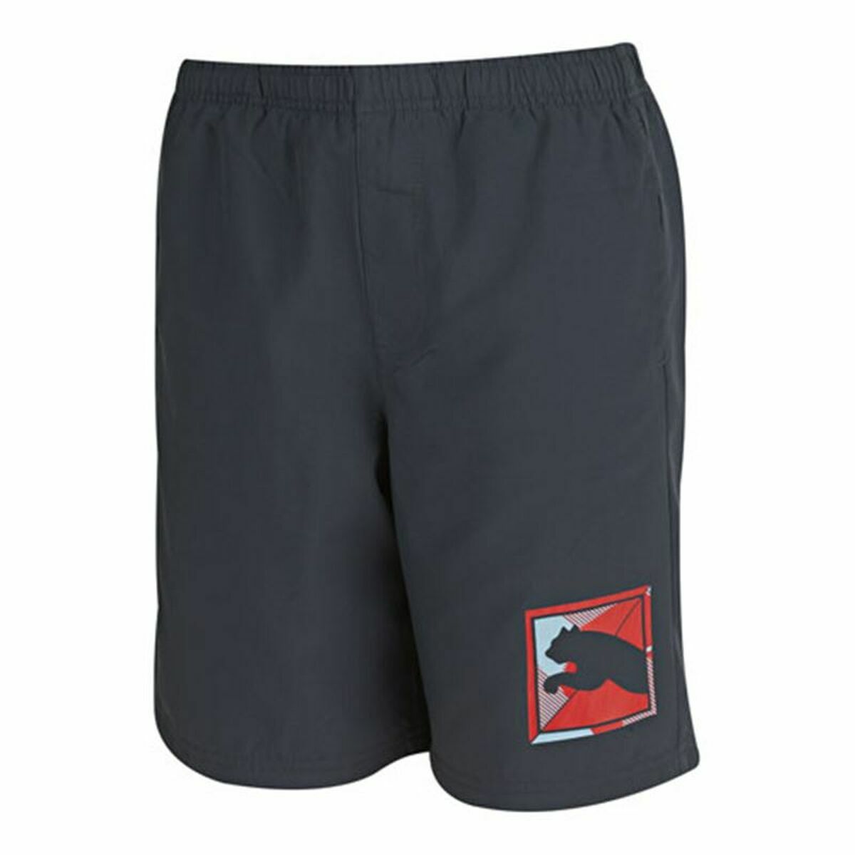 Sport Shorts for Kids Puma TD Woven/5-6 Years