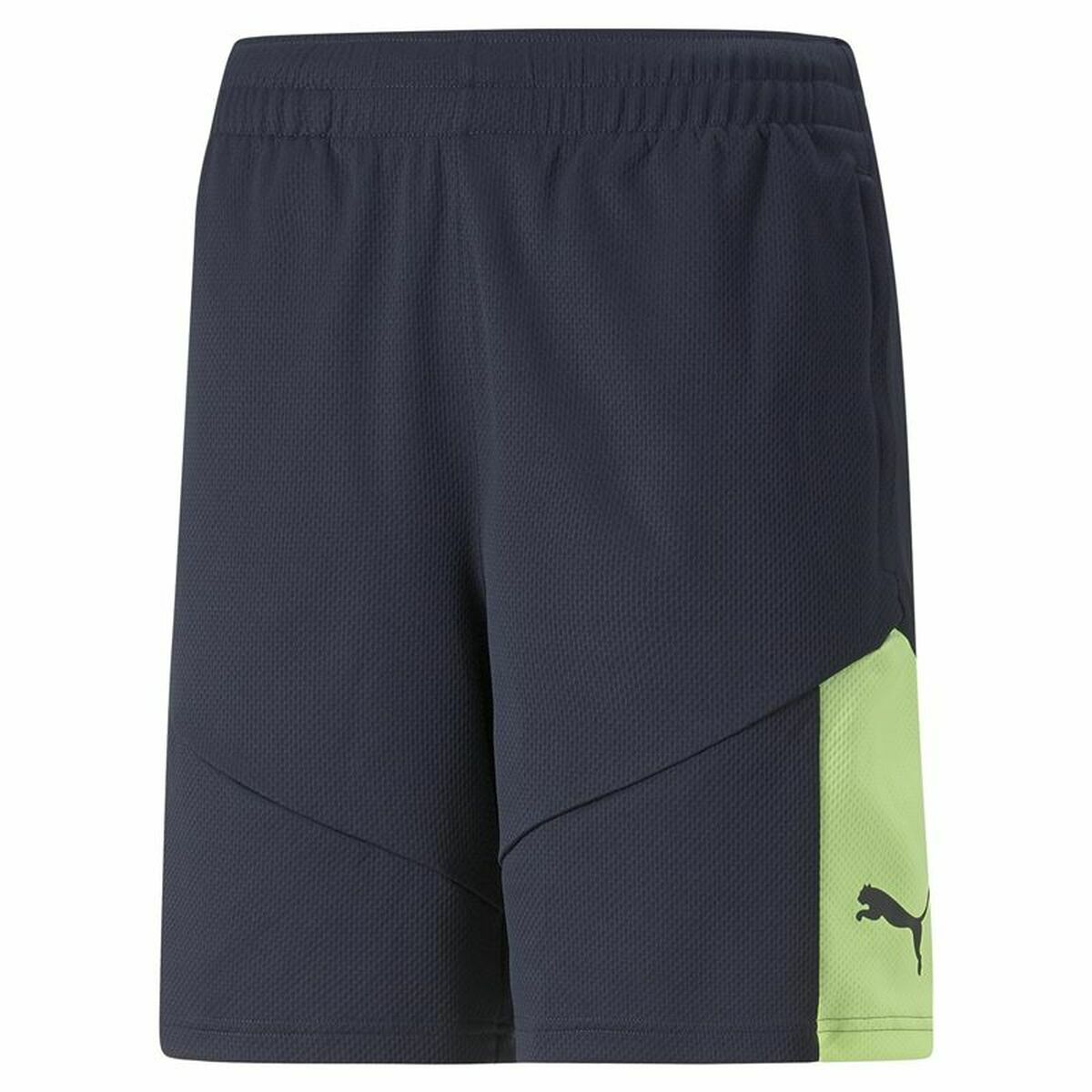 Men's Sports Shorts Puma Individual Final Black/XL