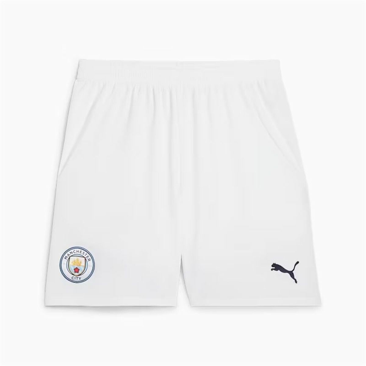 Adult Trousers Puma Manchester City 24/25 Men/S