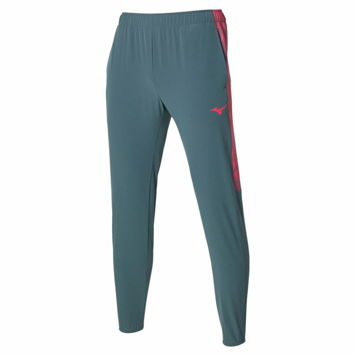 Adult Trousers Mizuno Charge Printed Dark grey Men/L