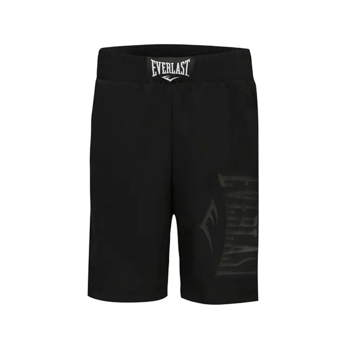 Men's Sports Shorts Everlast Lazuli 2 Tech/L