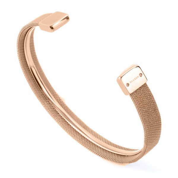 Ladies' Bracelet Skagen SKJB1000791P 65 mm