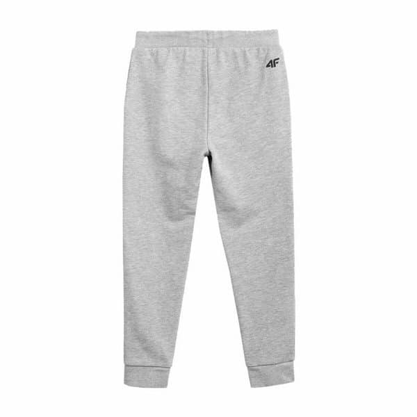 Adult Trousers 4F Jogger Grey Men/14-15 Years - Image 4